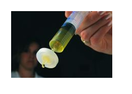 Syring lọc GD/X™ - WHATMAN